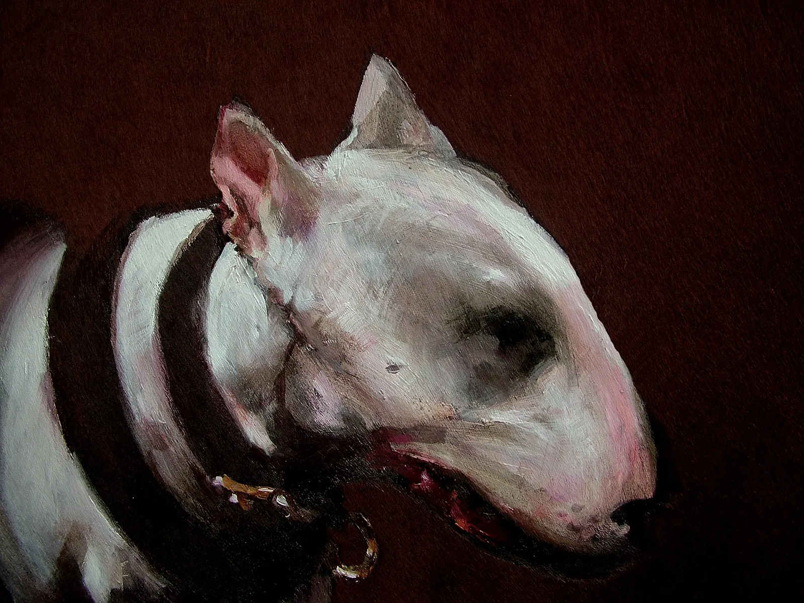White Terrier