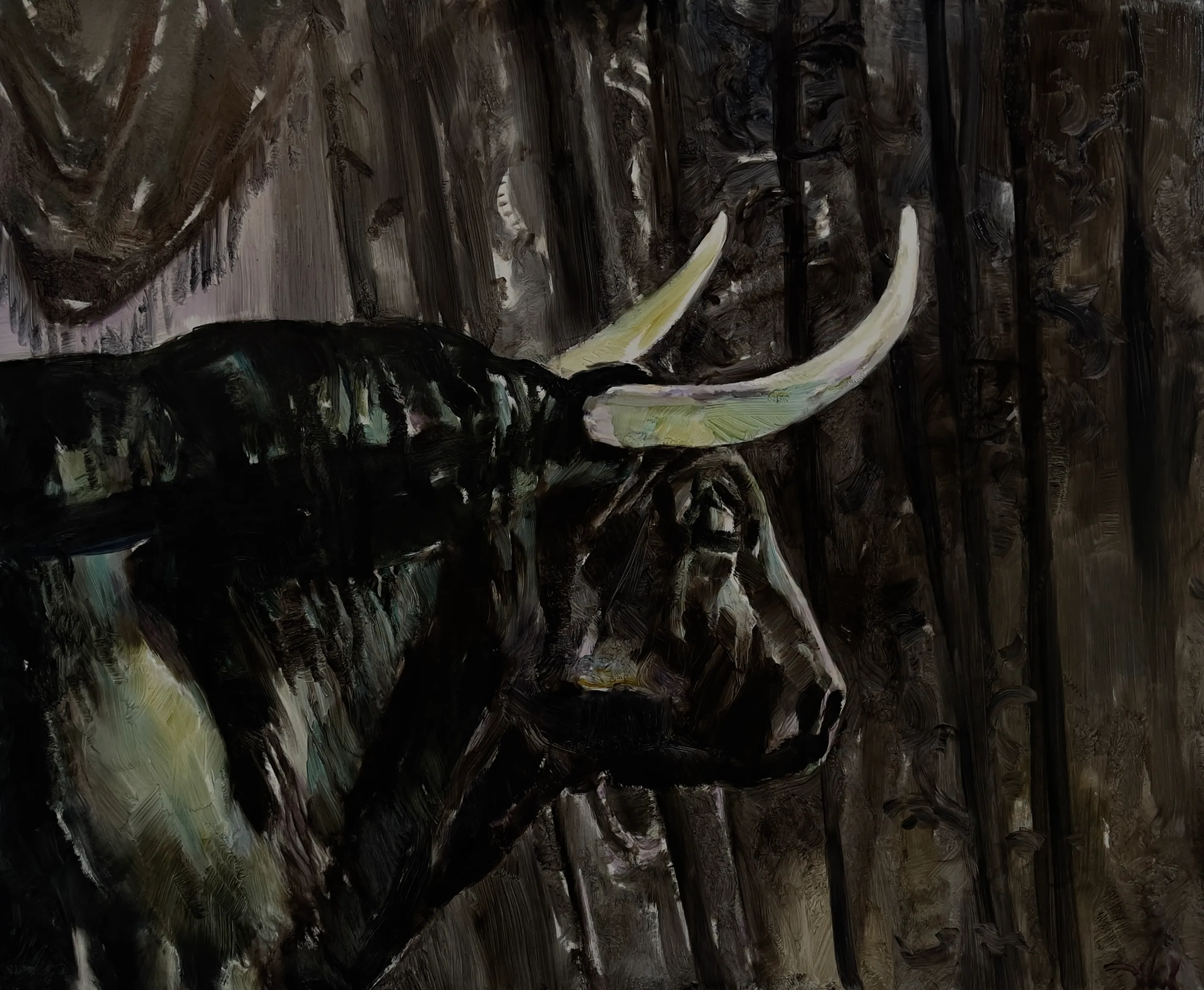 Black Bull