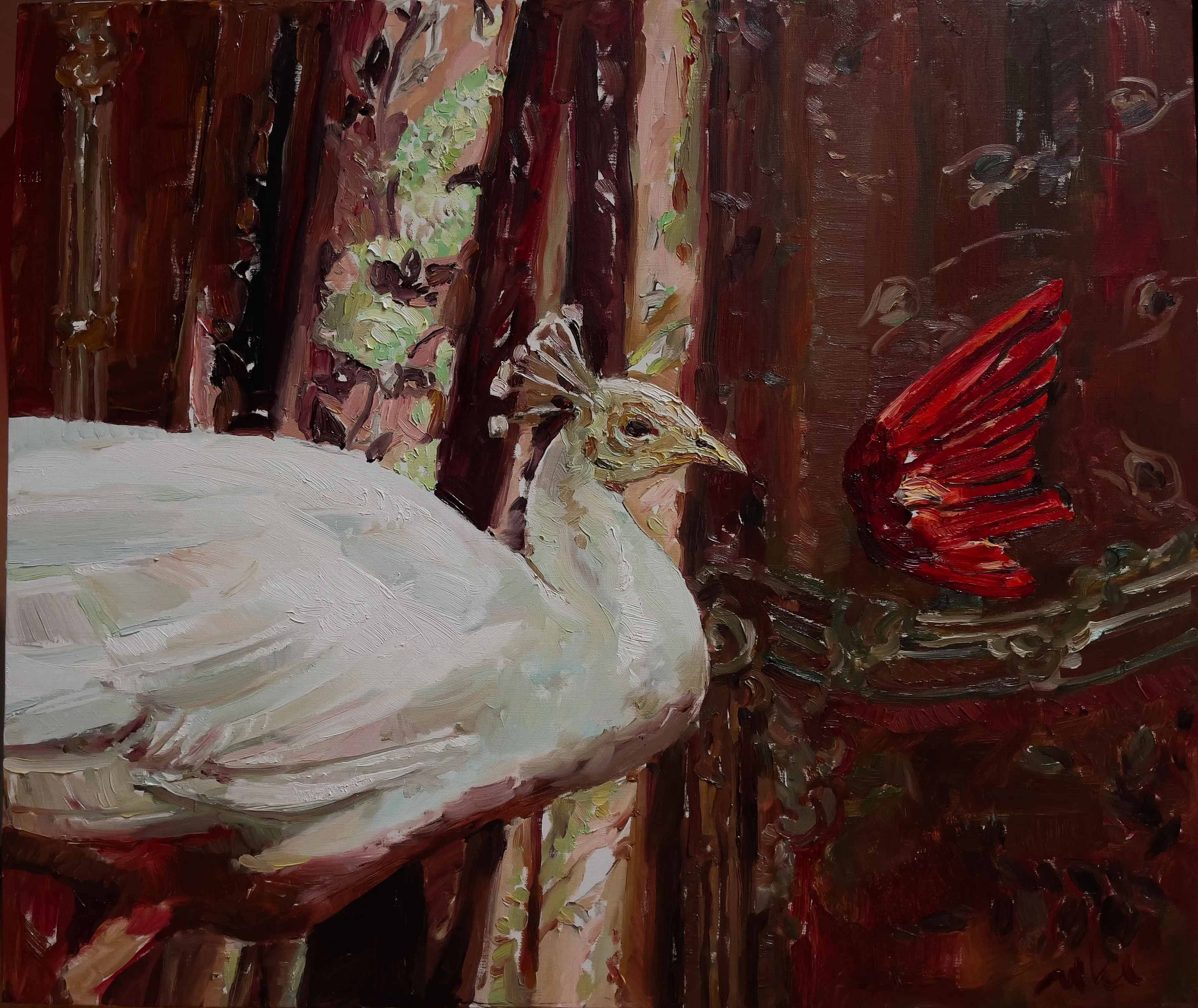 White Peacock with Red Wing