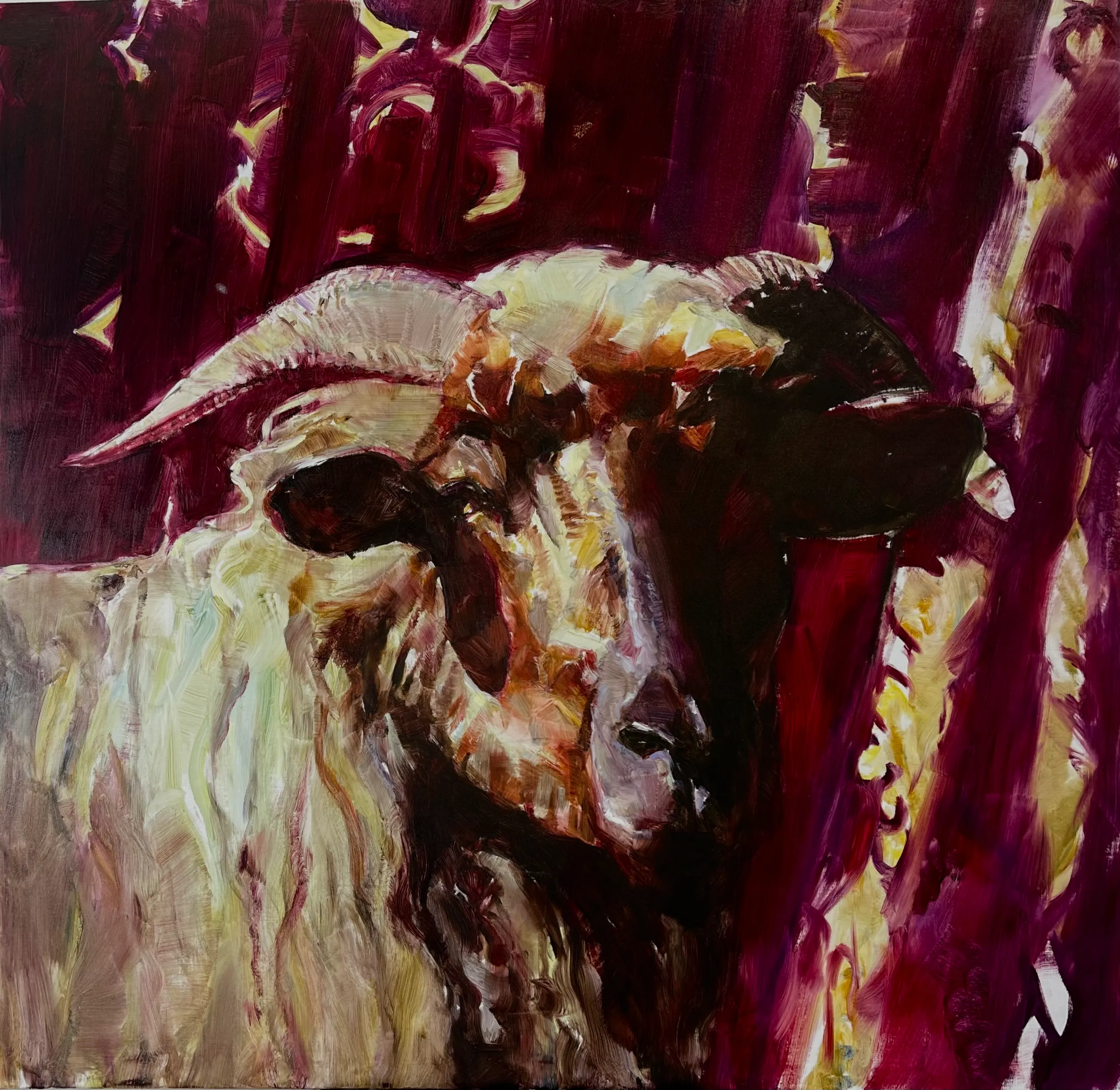 Magenta Ram